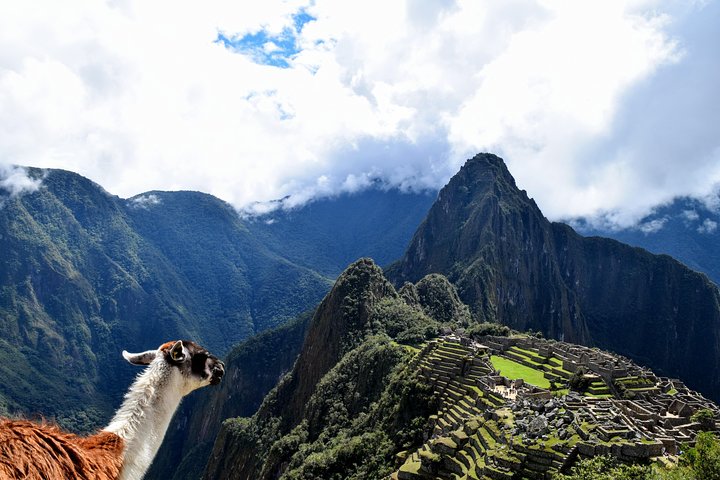 Machu Picchu Entrance Ticket