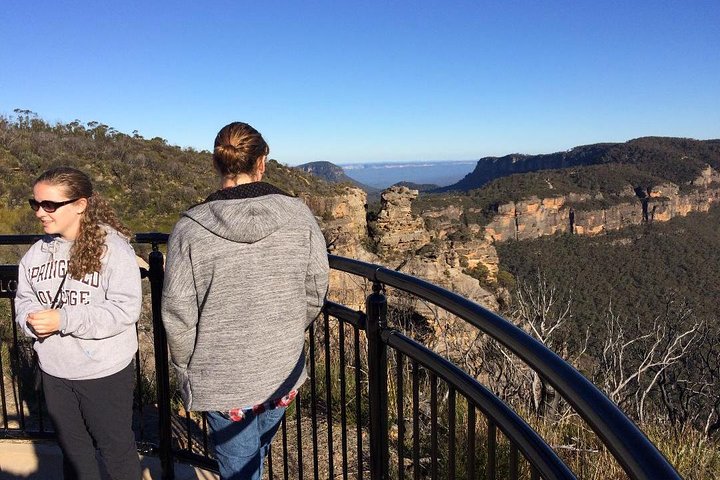 PRIVATE Blue Mountains tour & Koalas, Kangaroos, Cruise plus more
