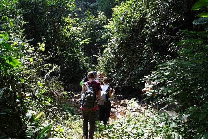 Nalan Trail Kmu Ethnic Experience - 2days forest trek with homestay.