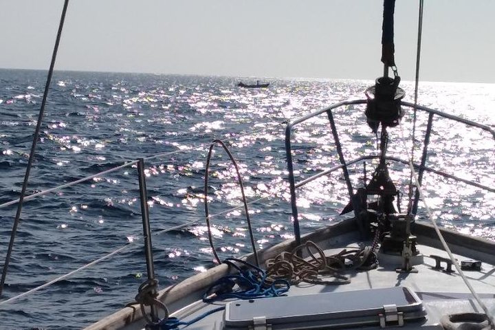 Sailing to Tayrona with Luis and his team: Unique!