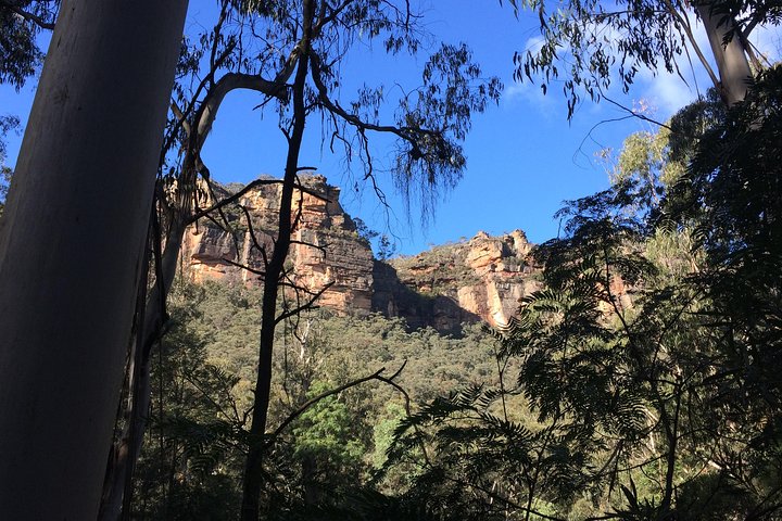 Blue Mountains PRIVATE Day Tour from Sydney plus Wildlife Park