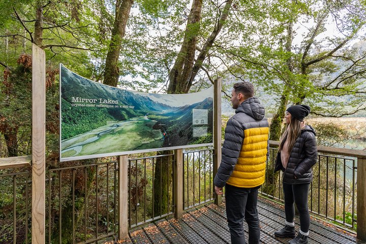 Milford Sound Premium Small Group Tour & Cruise from Queenstown