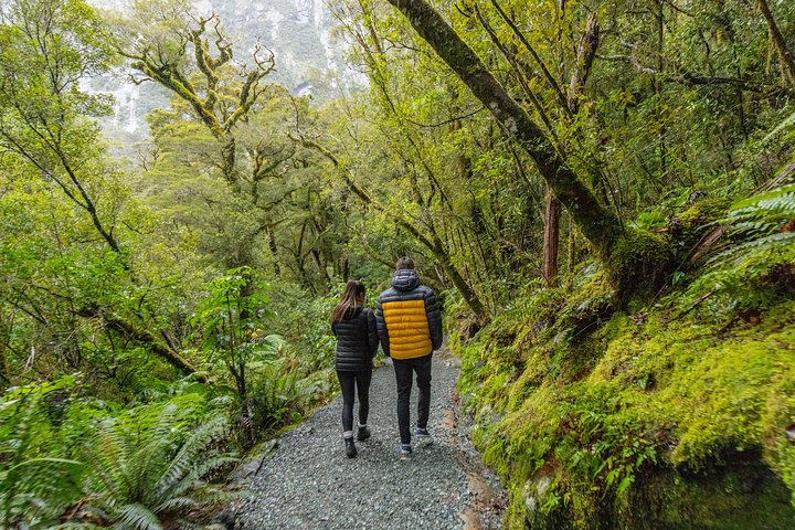 Milford Sound Premium Small Group Tour & Cruise from Queenstown