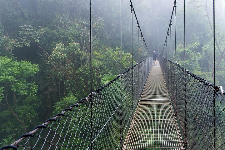 La Fortuna Waterfall, Hanging Bridges, Arenal Volcano Combo Tour