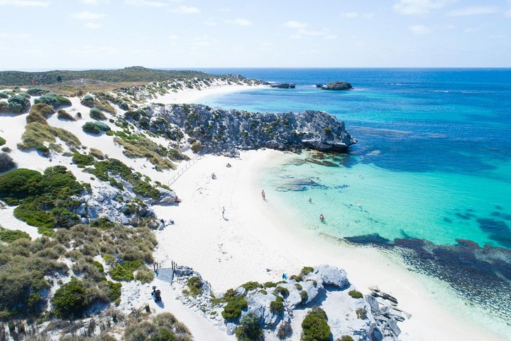 Discover Rottnest with Ferry & Bus Tour