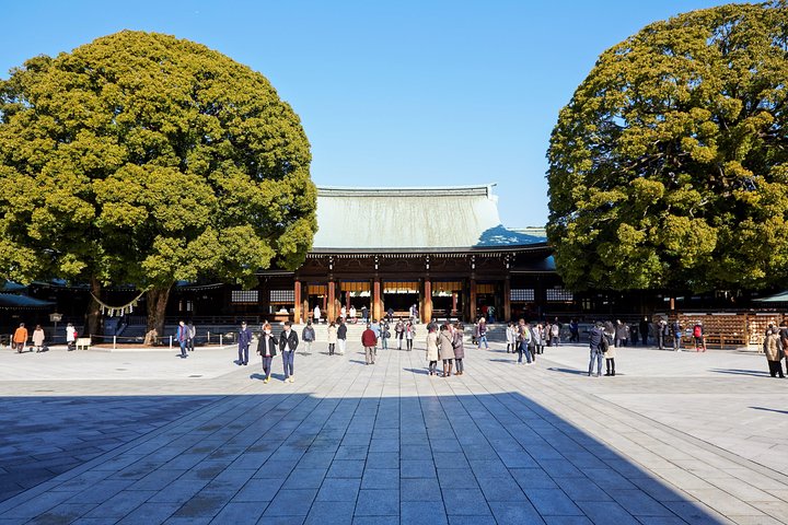 1-Day Tokyo Bus Tour