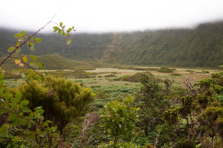 Caldeira do Faial Descent - private hiking tour