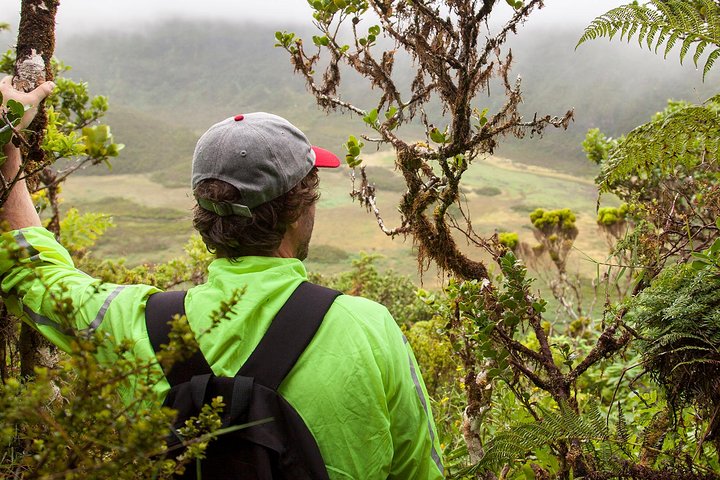 Caldeira do Faial Descent - private hiking tour