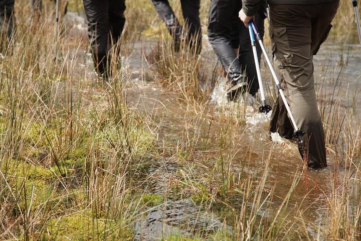 Caldeira do Faial Descent - private hiking tour