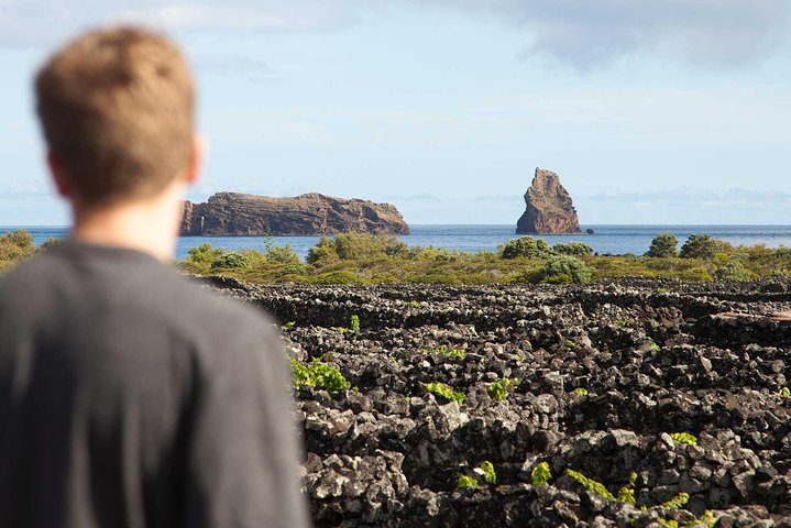 Banana Trip - Full day private tour to Pico with Round Trip from Faial
