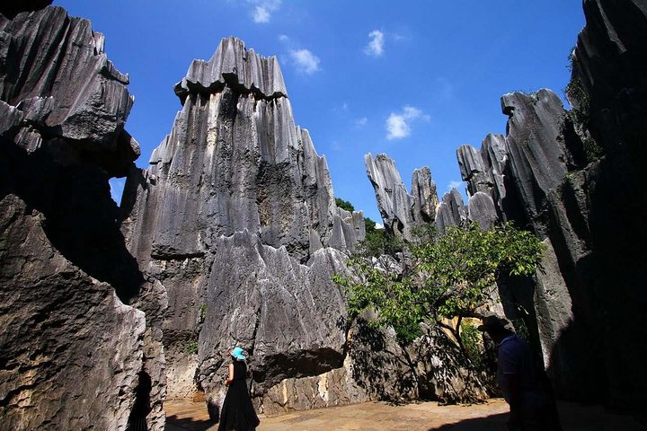 Private day tour in Kunming to Stone forest and cuihu lake with lunch