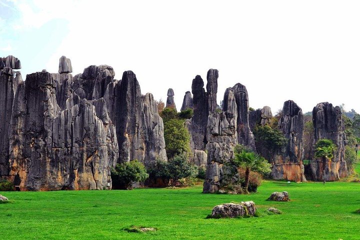 Private day tour in Kunming to Stone forest and cuihu lake with lunch