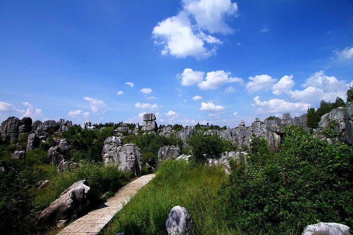 Private day tour in Kunming to Stone forest and cuihu lake with lunch