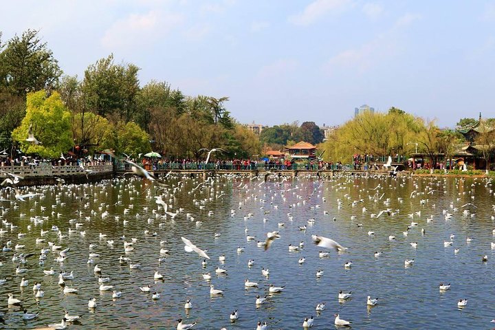 Private day tour in Kunming to Stone forest and cuihu lake with lunch
