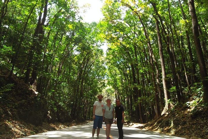 Bohol Chocolate hills and Waterfalls Ecotour
