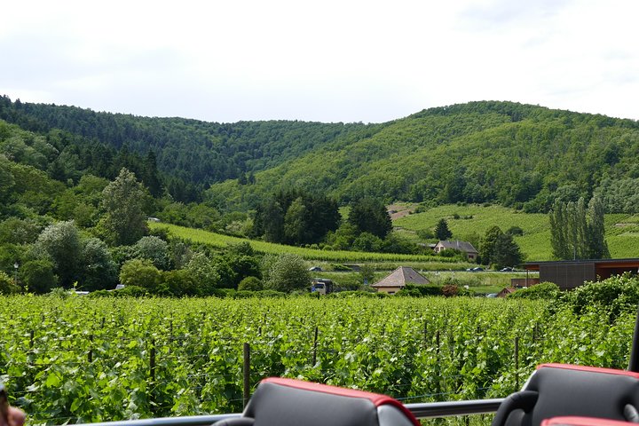 Day trip: Colmar, Haut-Koenigsbourg, Riquewihr and Kaysersberg