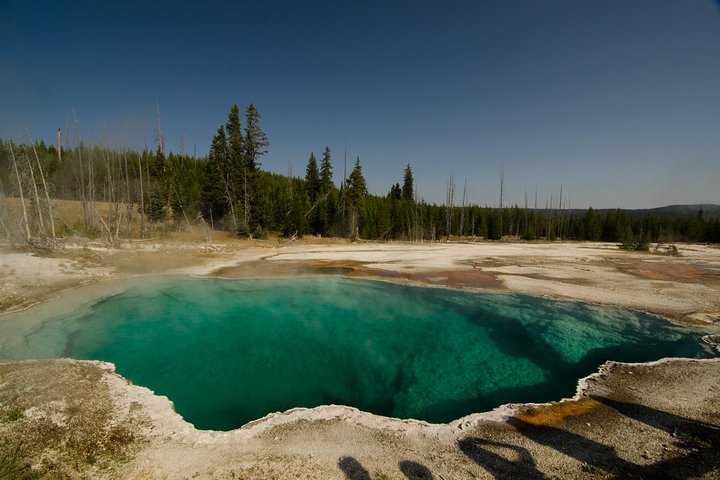 Private Yellowstone Old Faithful and Lower Loop Tour