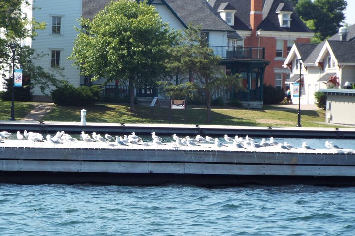 1000 Islands Canada (No passports required, Departing from the US