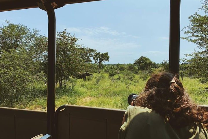 Kruger Park 2-day Safari from Maputo (Open-backed Safari Vehicle)