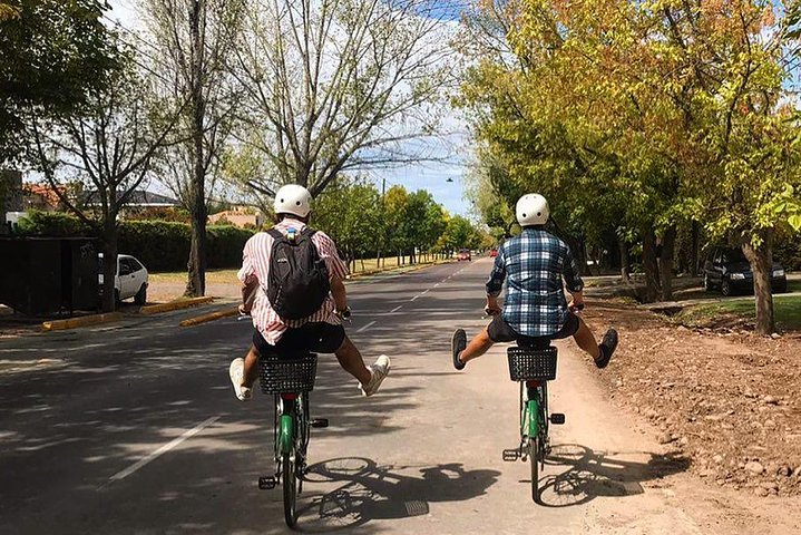 Self-Guided Bike Tour in Luján de Cuyo Wine Region (Mendoza)