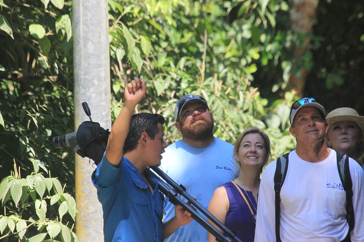 Manuel Antonio National Park Guided Tour with ticket option