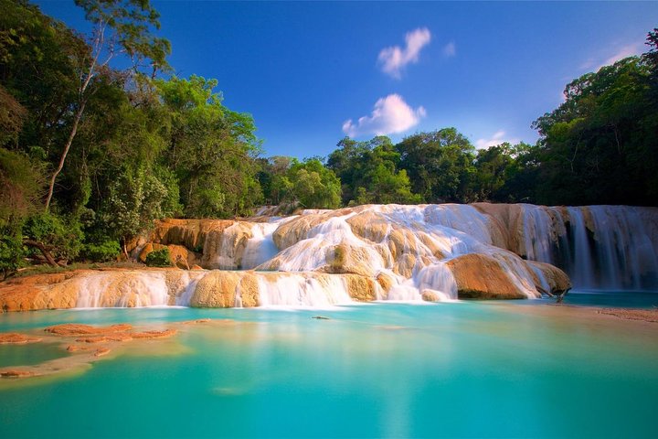 PALENQUE RUINS, AGUA AZUL and MISOL-HA (Private)