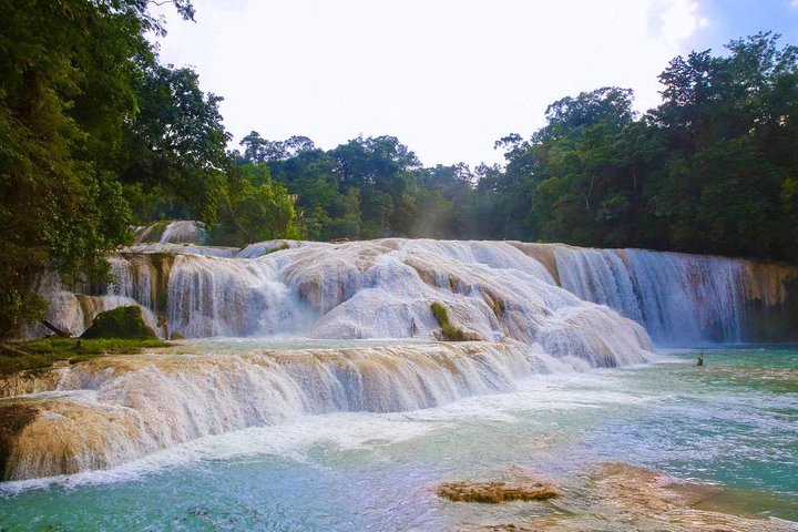 PALENQUE RUINS, AGUA AZUL and MISOL-HA (Private)