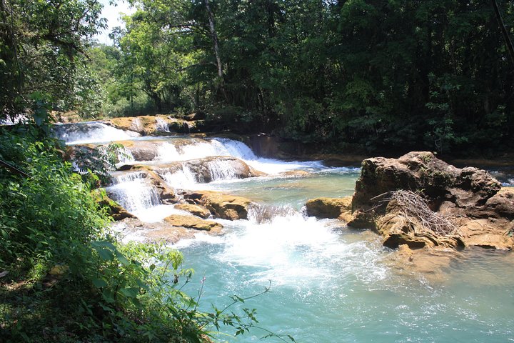 PALENQUE RUINS, AGUA AZUL and MISOL-HA (Private)