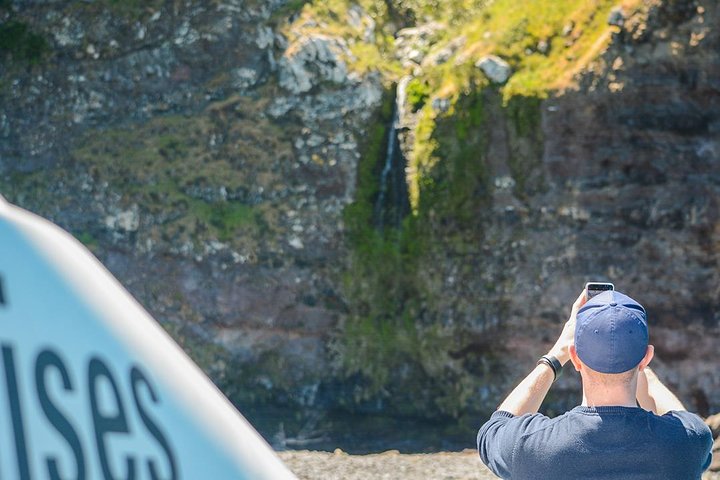 Akaroa Dolphins ~ Harbour Nature Cruise