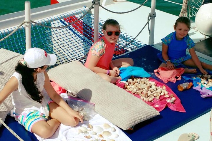 Beach Island Shelling Cruise to Keewaydin Island Tour