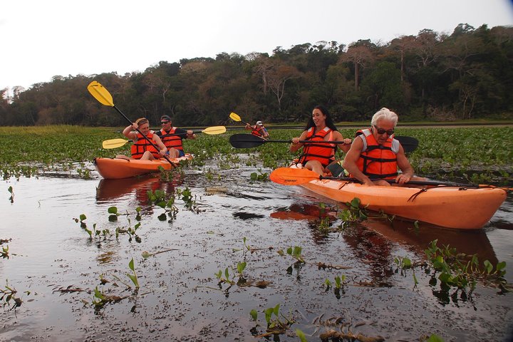 Kayaking tour in the Chagres River