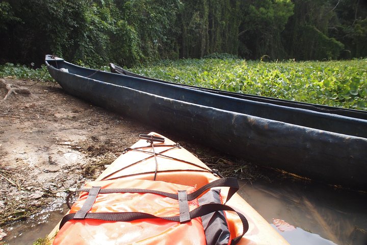 Kayaking tour in the Chagres River