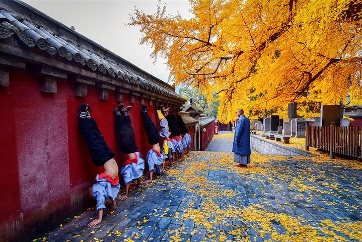 Best Luoyang Private One Day Tour