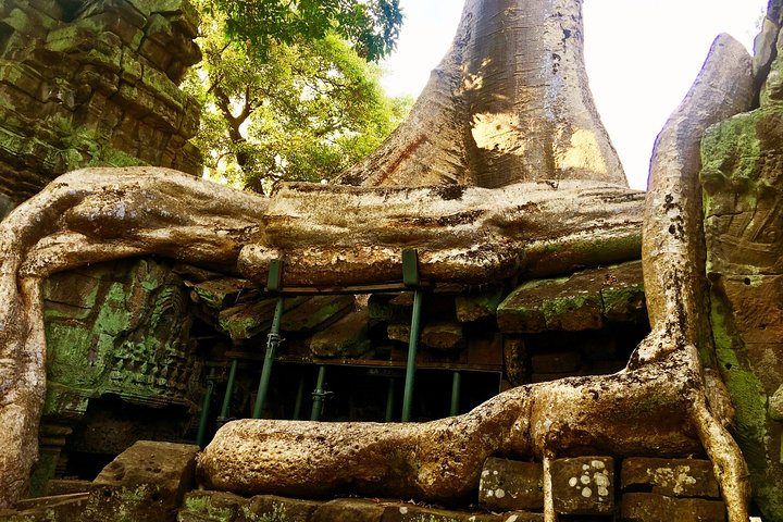 Angkor Wat Sunrise & All Highlight Angkor Temple Private Day Tour