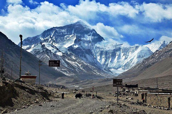 8 Days Lhasa Gyantse Shigatse Mt Everest Group Tour