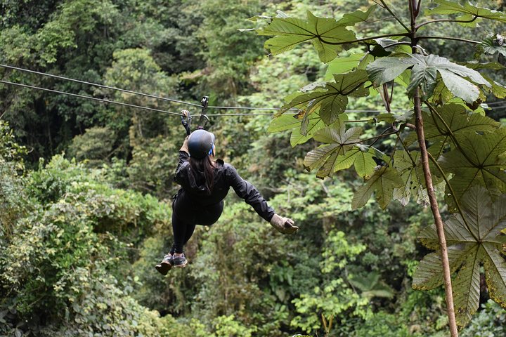 Mindo Ziplines Tours / Canopy Tour / Zip Line