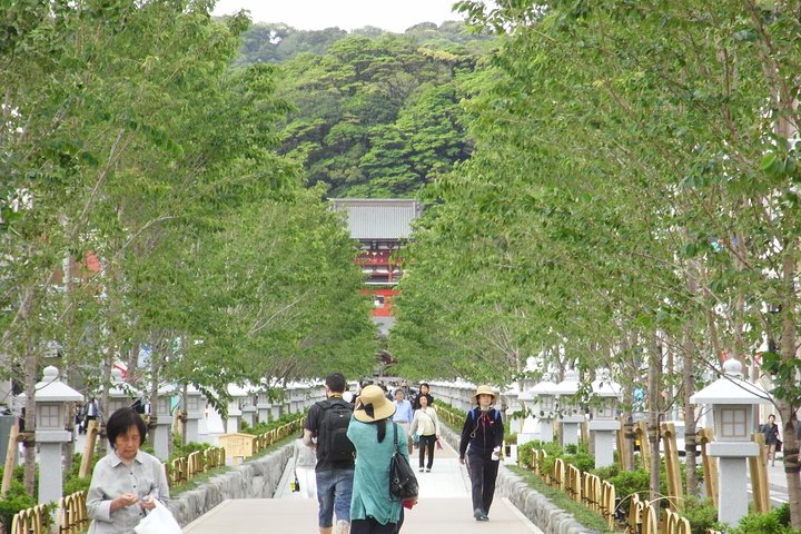 Kamakura Historical Discovery | Private Licensed Guide & Driver