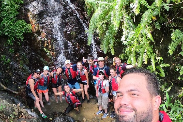 Two-in-One Day Trip: El Yunque and Bio Bay Tour with Transport