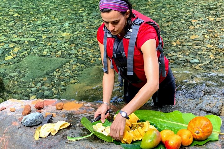 Two-in-One Day Trip: El Yunque and Bio Bay Tour with Transport
