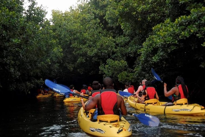 Two-in-One Day Trip: El Yunque and Bio Bay Tour with Transport