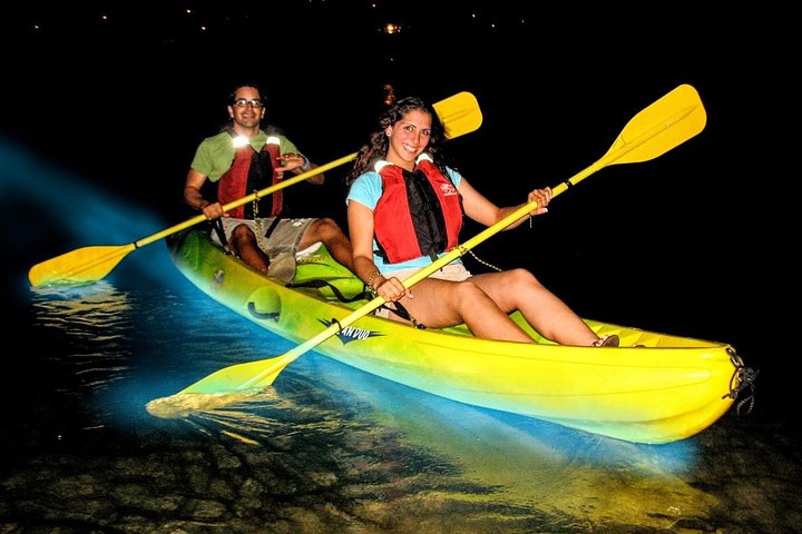 Two-in-One Day Trip: El Yunque and Bio Bay Tour with Transport