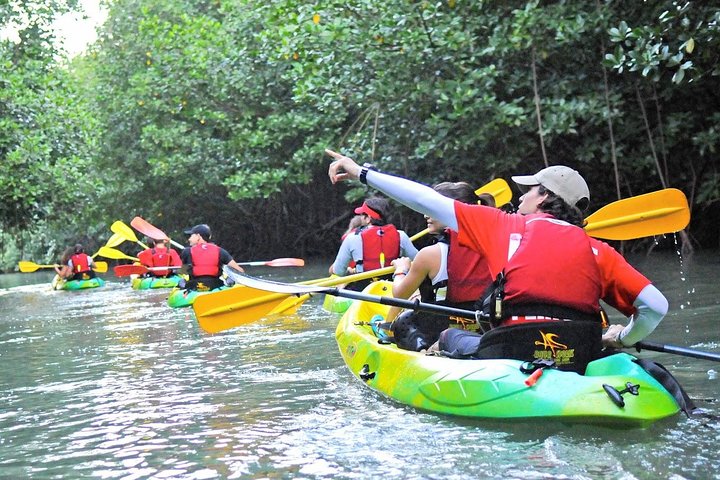 Two-in-One Day Trip: El Yunque and Bio Bay Tour with Transport