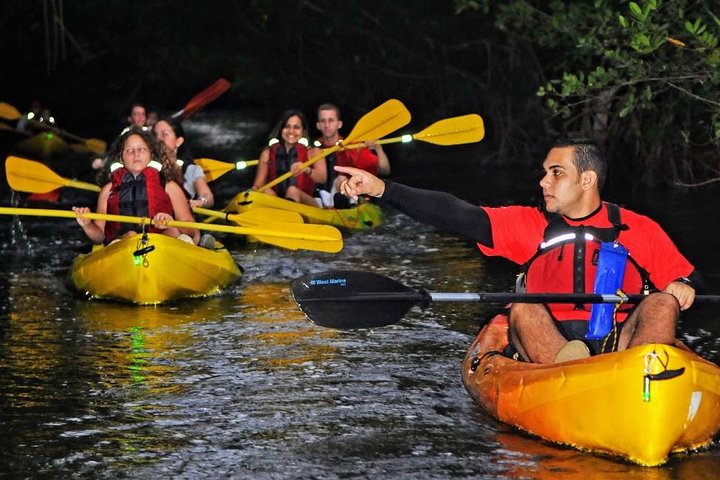Two-in-One Day Trip: El Yunque and Bio Bay Tour with Transport