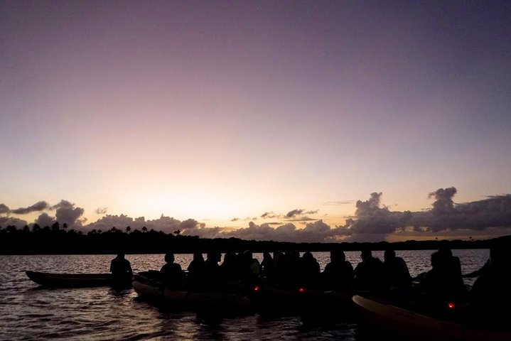 Two-in-One Day Trip: El Yunque and Bio Bay Tour with Transport