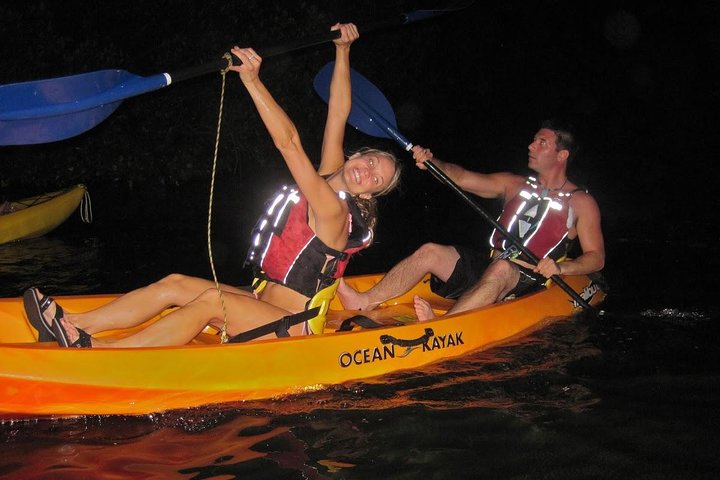 Two-in-One Day Trip: El Yunque and Bio Bay Tour with Transport