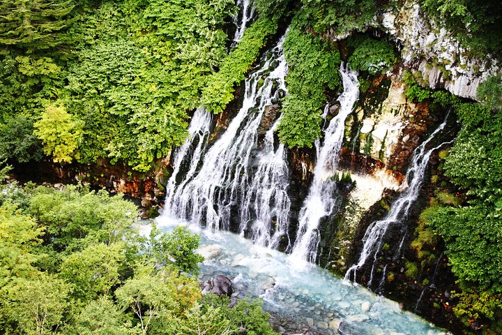 [Biei/Furano] One-day sightseeing by private car!