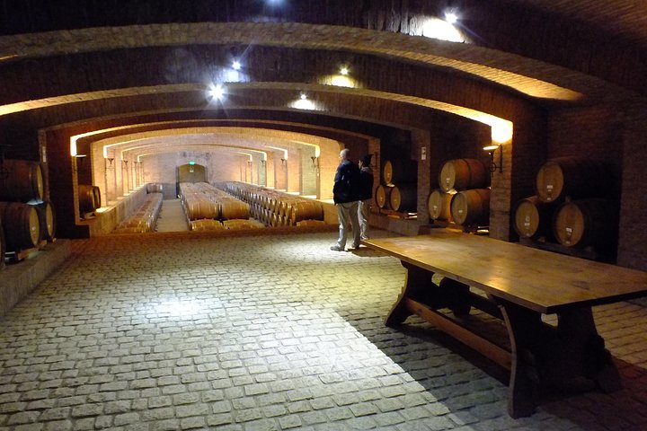 Maipo Valley Wine Tour with 4 vineyards from Santiago.