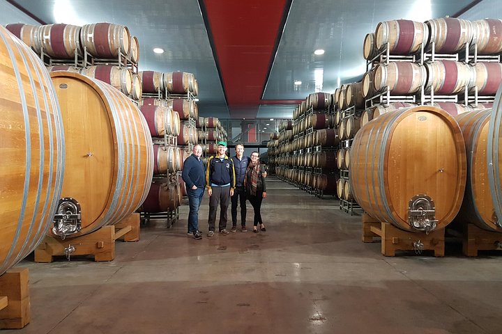 Maipo Valley Wine Tour with 4 vineyards from Santiago.