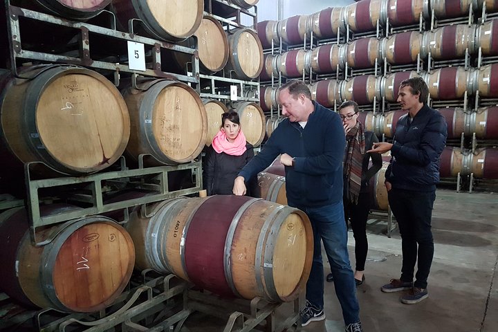 Maipo Valley Wine Tour with 4 vineyards from Santiago.