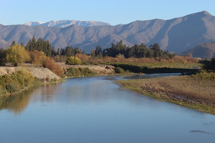 Maipo Valley Wine Tour with 4 vineyards from Santiago.